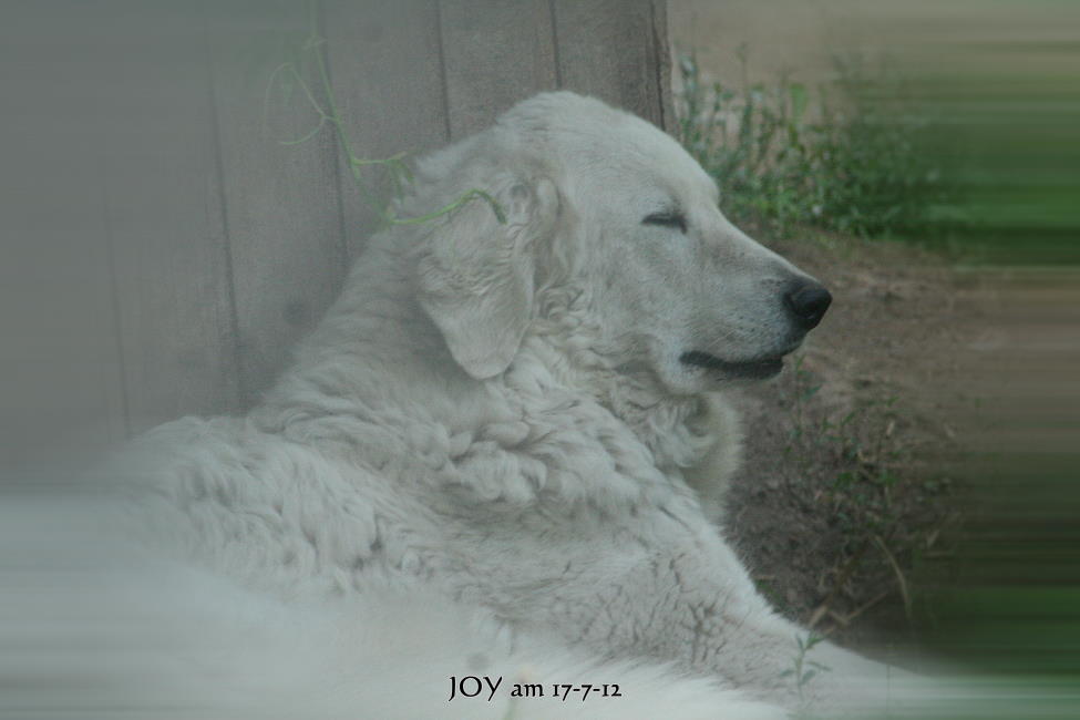15-7-12 B+N 004