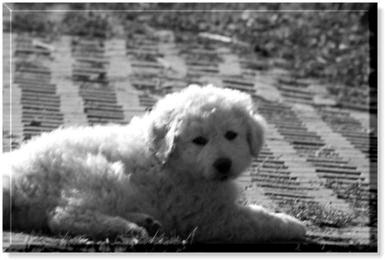 15.3.2o11 morgens 019