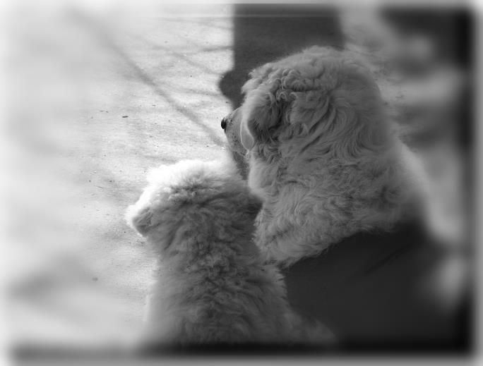 15.3.2o11 morgens 025