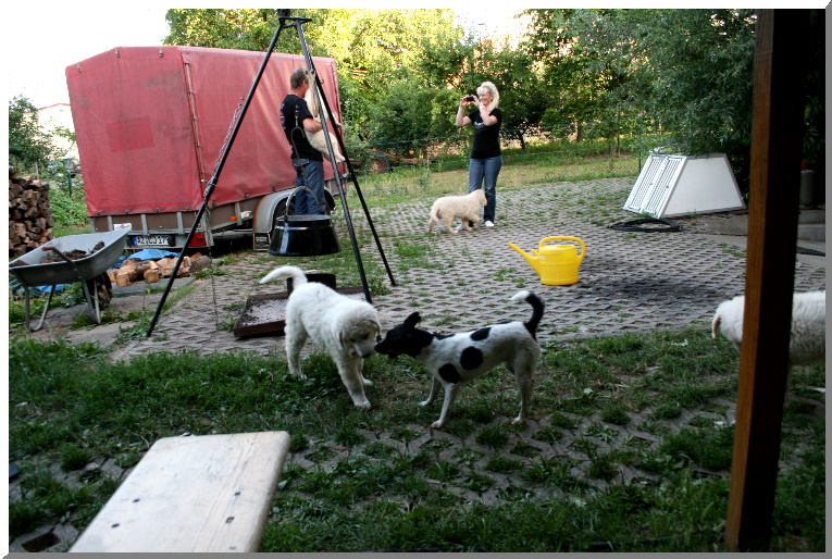 ABHOLUNGNADIMNAJE 029