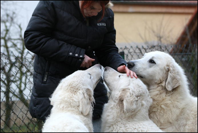 ALF AISCHA OGGI + SELINA 012