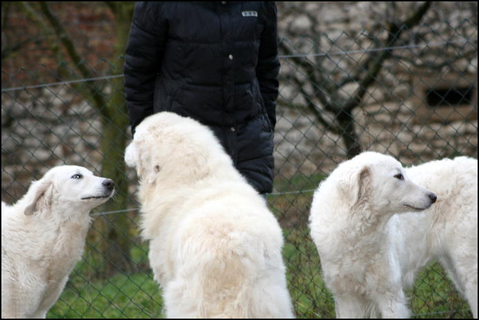 ALF AISCHA OGGI + SELINA 030