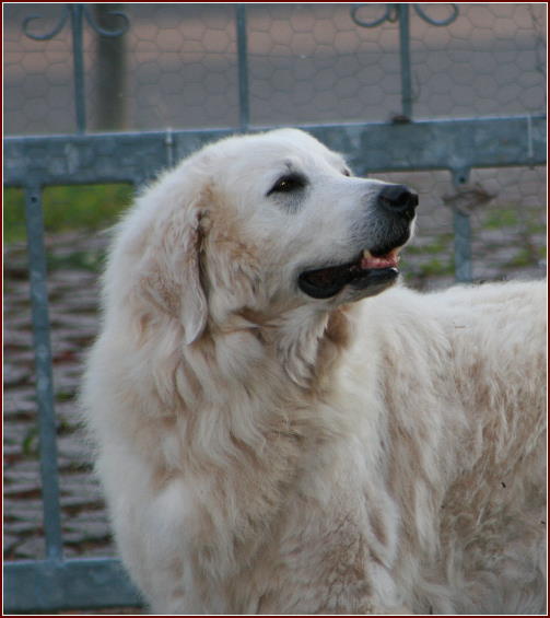 ALF am ABEND 23-6-12 004