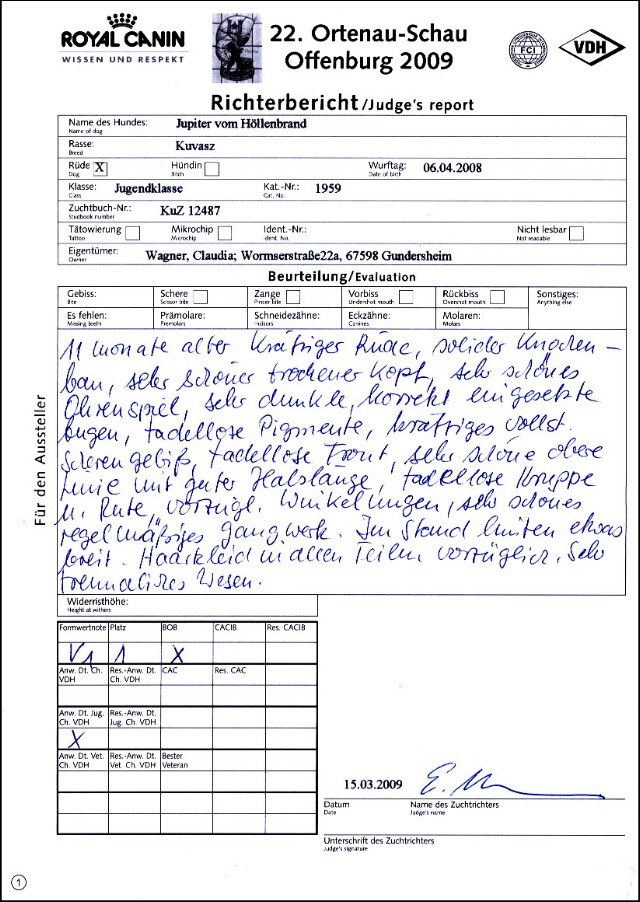 KUVASZRICHTERBERICHT OFFENBURG