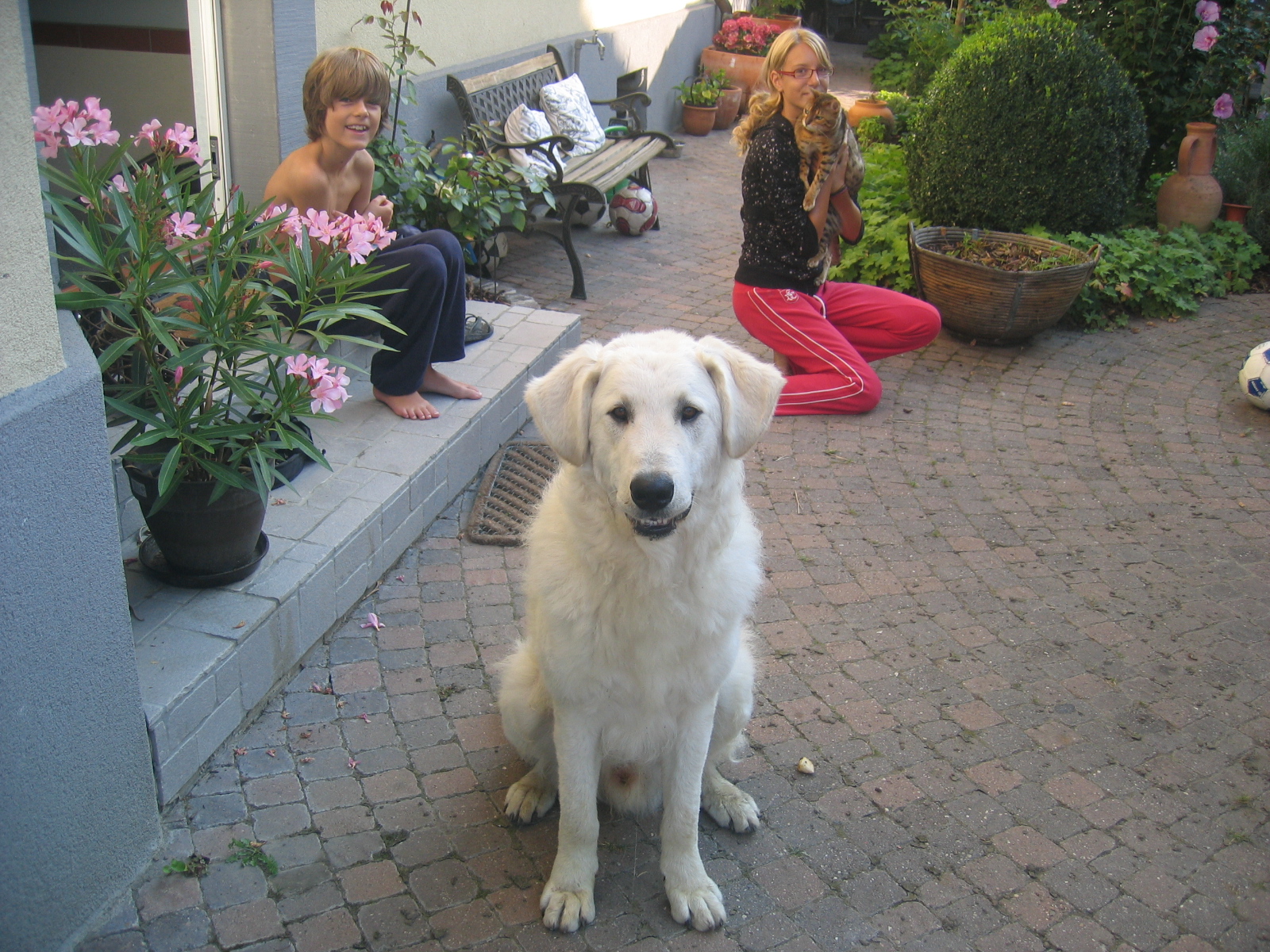 Kovu005