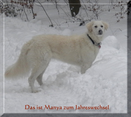Manya 2010 355.jpg cut