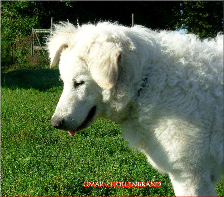 OMAR 7 Monde 1