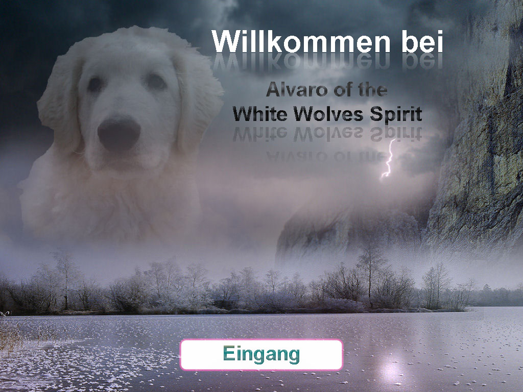 alvaro_blitz_in_den_bergenneu