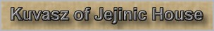 jejinic-house