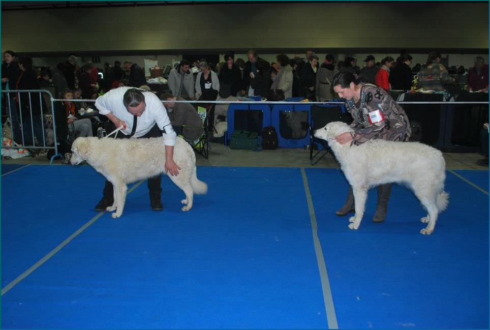 offenburg 2013 x