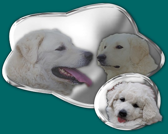 quecksilberlogo-gro�