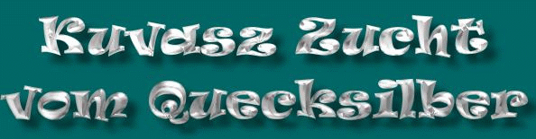 quecksilberlogo1