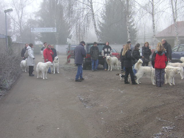 raurreif 010